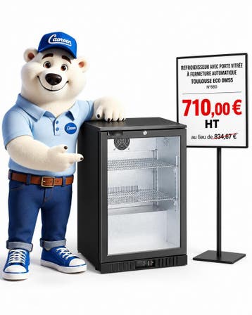 Refroidisseur professionnel vitré Toulouse ECO 0m55 d’occasi