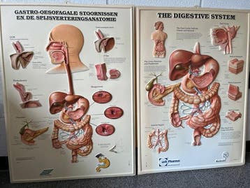Verenigde Staten - Medische benodigdheden