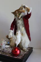 Chat Support de corps entier pour taxidermie - Felis catus -