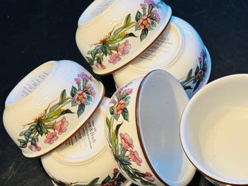 Villeroy & Boch - Kom (6) - Botanica - Porselein