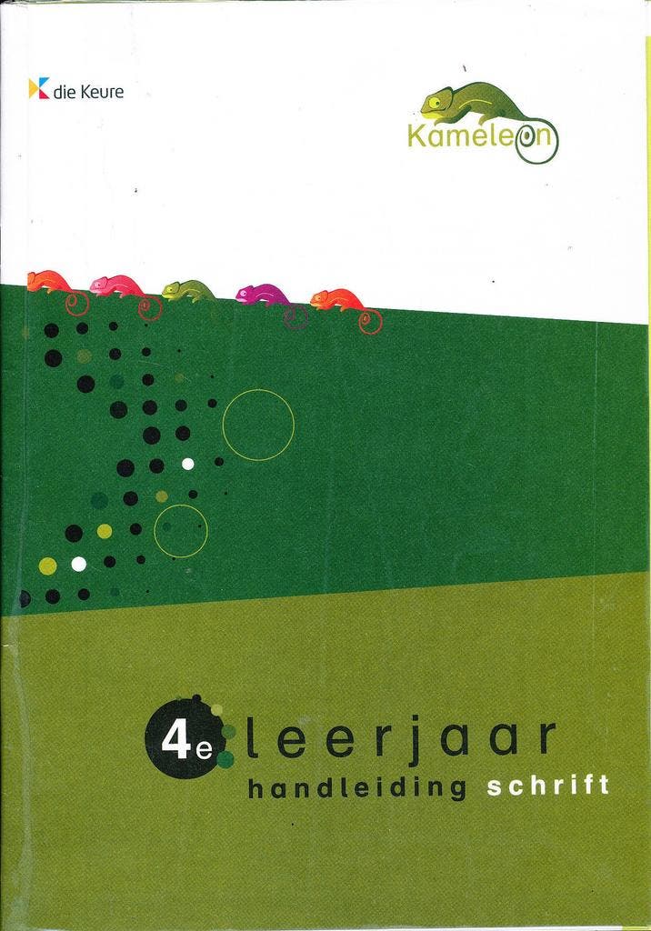 Kameleon Handleiding Schrift 4e leerjaar, Livres, Livres scolaires, Envoi