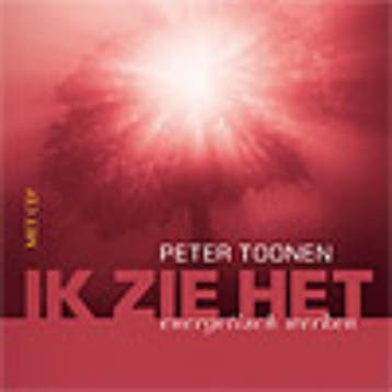 Ik zie het 9789055992577 Peter Toonen, Verzenden, Gelezen, Peter Toonen