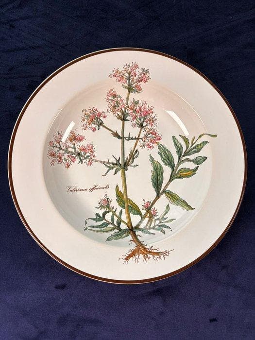 Villeroy & Boch - Botanica - Eetservies voor 6 (6) -, Antiek en Kunst, Antiek | Meubels | Tafels