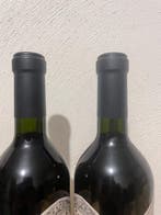 2022 Catena Zapata, Birth of Cabernet - Mendoza - 2 Fles, Nieuw