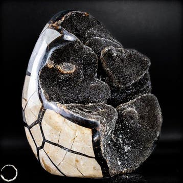 Zeer decoratieve septarian Druse, met calcietkristallen-