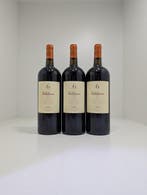 2016 Valduero, 6 Años Premium - Ribera del Duero Reserva - 3, Collections