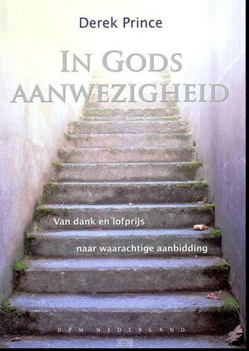 IN GODS AANWEZIGHEID 9789075185775 D. Prince, Verzenden, Zo goed als nieuw, D. Prince