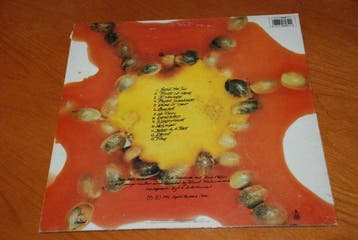 BLIND MELON - Blind Melon - 1st Spanish pressing - LP -