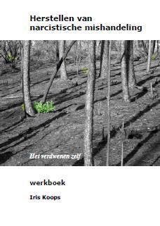 herstellen van narcistische mishandeling 9789082392500, Verzenden, Zo goed als nieuw, Iris Koops