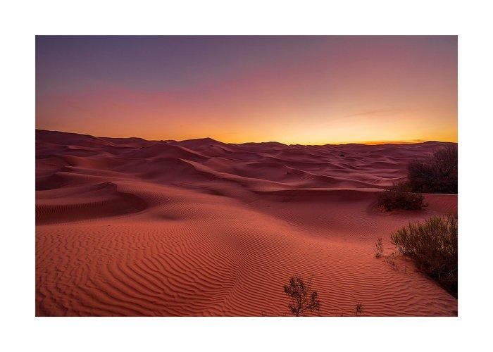 Sylvain Morizot - Desert Silence, Antiquités & Art, Art | Objets design
