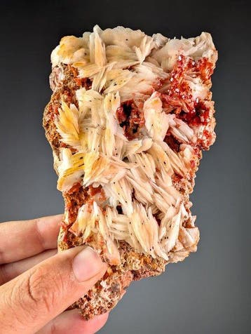 Vanadinite op lamellair bariet Kristalcluster - Hoogte: 15