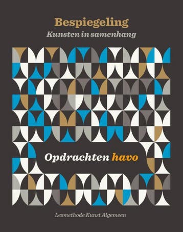 Bespiegeling 9789492000293 Michiel Maas, Verzenden, Michiel Maas