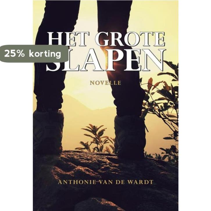 Het grote slapen 9789089548542 Anthonie van de Wardt, Boeken, Romans, Zo goed als nieuw, Verzenden
