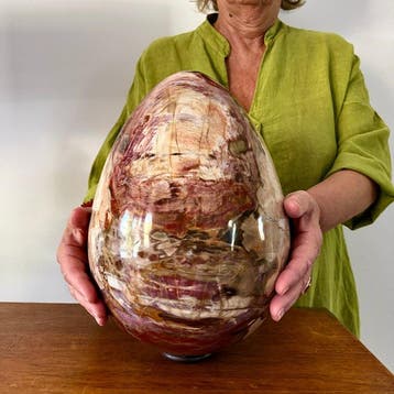 19,6 kg - monumentale sculptuur in versteend hout Ei -
