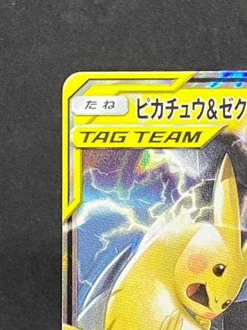Pokémon - 1 Card - Pikachu, Zekrom #031/095 RR - Sun & Moon, Nieuw