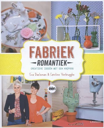 Fabriek Romantiek 9789401405195 Koen Vanderweyden, Verzenden, Zo goed als nieuw, Koen Vanderweyden