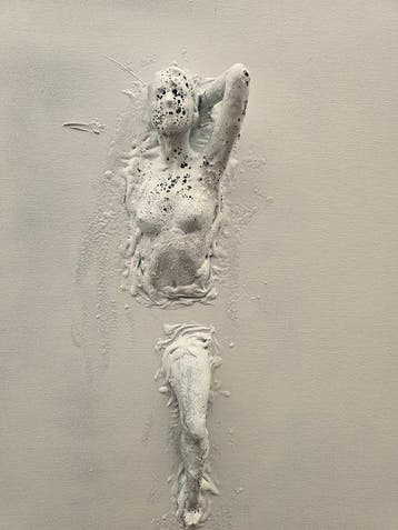 Nicole Lubbers - Onvoltooid
