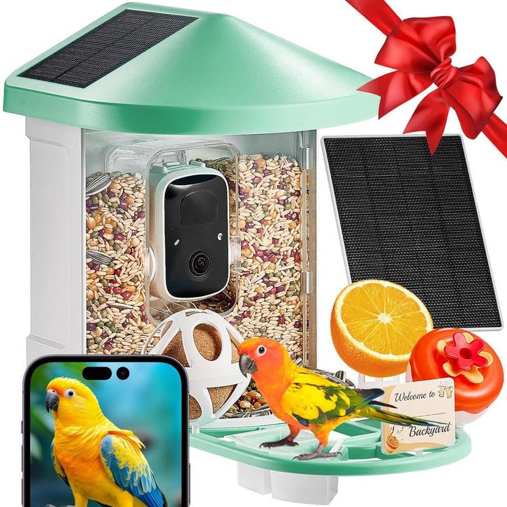 Vogelvoederstation 2K HD AI | Retour deal | 34% Korting, Jardin & Terrasse, Maisons & Bains d'oiseaux, Envoi