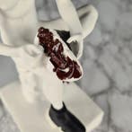 Santicri - Spinario fail