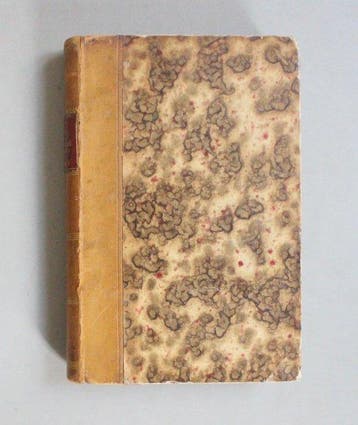 Ernst Ferdinand Rückert - Traitement homéopathique des