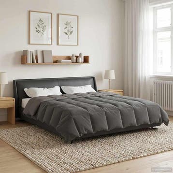 vidaXL Winter Duvet 220 x 240 cm Winter Microvezel (100%, Verzenden
