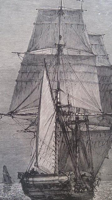 Charles Darwin - Concordance to Darwins the Descent of Man