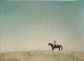 Stefanie Schneider - Days of Heaven IX (Stefanie Schneider)