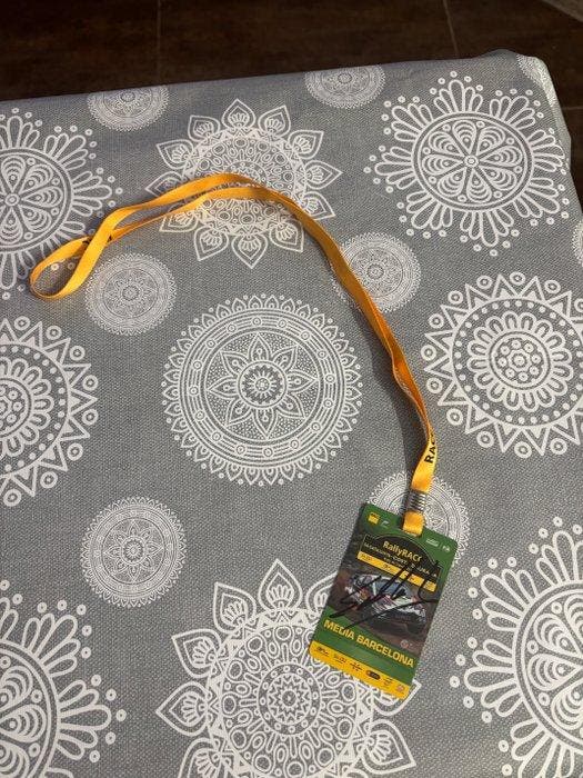 Sebastian Loeb / Sebastian Ogier - 2018 - Paddockpas, Collections, Marques automobiles, Motos & Formules 1