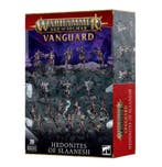 Hedonites of Slaanesh Vanguard (Warhammer Age of Sigmar, Hobby en Vrije tijd, Ophalen of Verzenden, Nieuw
