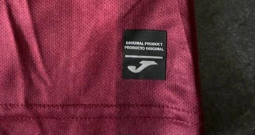 Torino - Serie A - Samuele Ricci - 2024 - Voetbalshirt, Nieuw