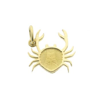 Gouden sterrenbeeld hanger; Kreeft (Hanger of bedel), Ophalen of Verzenden, Gebruikt, Goud, Overige merken