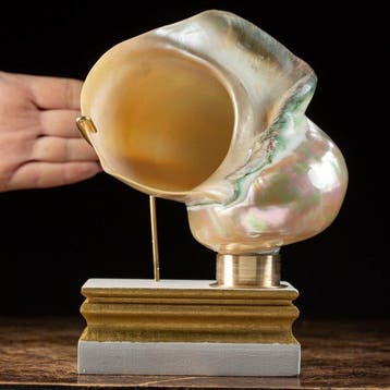 Parelmoeren schelp op een elegante voet - Zeeschelp - Turbo, Verzamelen, Nieuw