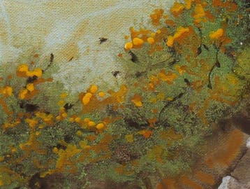 Guido Borelli - arco del fosso