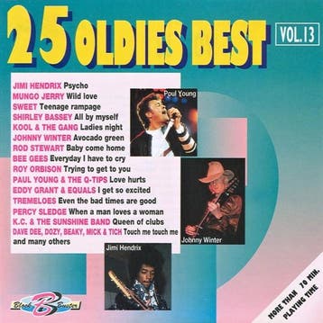 Various - 25 Oldies Best Vol. 13, Verzenden, Gebruikt