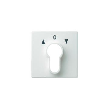 Gira System 55 Elément de commande/appareil de commutation à, Verzenden, Nieuw