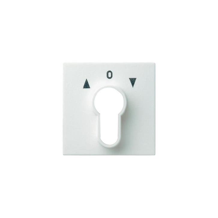 Gira System 55 Elément de commande/appareil de commutation à, Doe-het-zelf en Bouw, Elektriciteit en Kabels, Verzenden