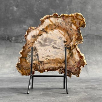 Prachtige plak versteend hout in rood op een op maat