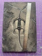 Reptile fossile: Keichousaurus -Trias - Animal fossilisé -