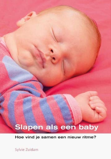 Slapen als een baby 9789462331044 Sylvie Zuidam, Verzenden, Sylvie Zuidam