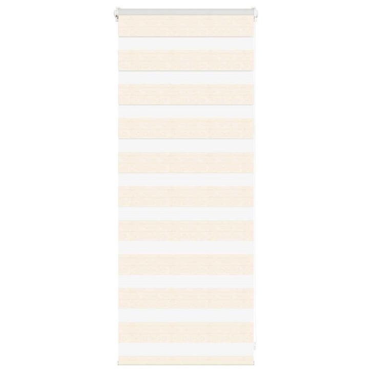 vidaXL Zebra rolgordijn 65x100 cm stofbreedte 60,9 cm, Huis en Inrichting, Stoffering | Gordijnen en Lamellen, Nieuw, Verzenden