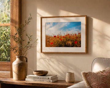 Viet Ha Tran - Poppy field II