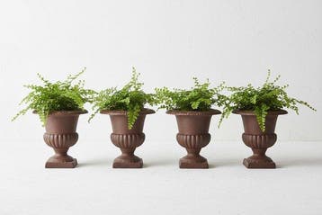 Pot de fleurs (4) - Fonte - Vase français