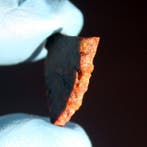Unieke Diogeniet NWA 15627 einddoorsnede met grofkorrelig