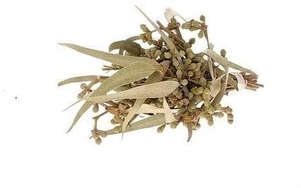 Eucalyptus met Besjes Droogbloemen, Huis en Inrichting, Woonaccessoires | Kunstplanten en Kunstbloemen, Nieuw