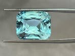 1 pcs Blauw, Groen Aquamarijn - 13.17 ct - Gemological, Nieuw
