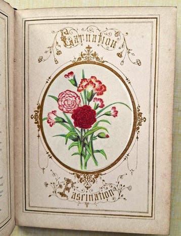 Anonymous - Language and Sentiment of Flowers, Floral