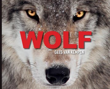 Wolf | Cees Kempen | Nieuw, Verzenden, Cees Kempen