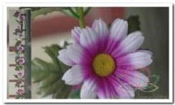 Gerbera Wit/Paars Zijdenbloemguirlande per stuk, Huis en Inrichting, Nieuw