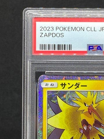 Pokémon - 1 Graded card - Zapdos #012/032 Foil - PSA 10, Nieuw