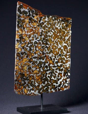 Météorite de Sericho Pallasites - 132 g - (1)